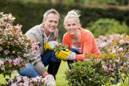 Hedge trimming professional shaping a suburban London hedge
