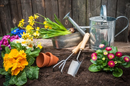 Professional lawn mowing service in Euston