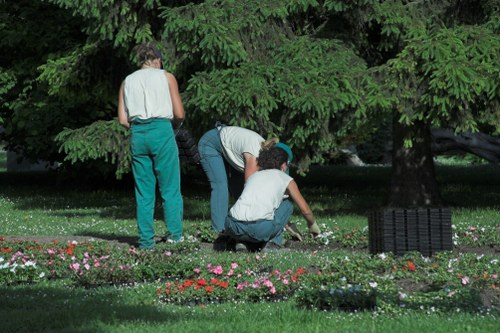 Healthy green lawn maintained by experts in Euston